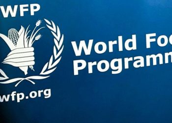BM: Etiyopya, Dünya Gıda Programı çalışanı 72 şoförü gözaltına aldı