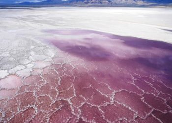 COP26: ‘İnsanlar su bulamazlarsa, suyun olduğu yerlere göç dalgaları oluşur’