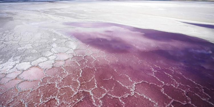 COP26: ‘İnsanlar su bulamazlarsa, suyun olduğu yerlere göç dalgaları oluşur’