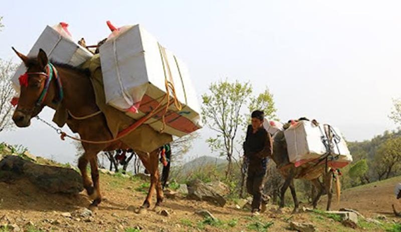 15 yaşındaki Kürt kolber katırları öldürüldüğü için yaşamına son verdi