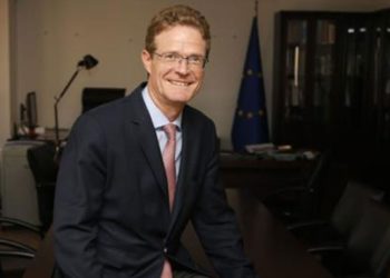 AB Türkiye Delegasyonu Başkanı: İnsan hakları ihlallerinin artması endişe verici