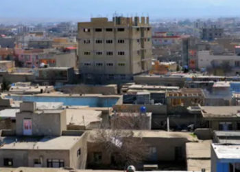 Afganistan'da kadın hakları aktivisti vurularak öldürüldü