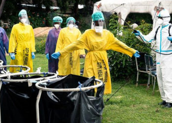 Afrika'da vaka sayısının düşüklüğü bilim insanlarını şaşırtıyor