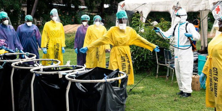 Afrika'da vaka sayısının düşüklüğü bilim insanlarını şaşırtıyor