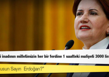 Akşener'den Erdoğan'a: Yanlıştaki inadının milletimizin her bir ferdine 1 saatteki maliyeti 3000 lira oldu