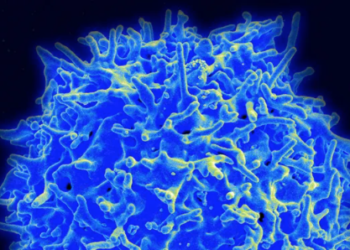 Araştırma: Covid-19'la temas edip yakalanmayanlarda 'T hücresi hafızası' işliyor