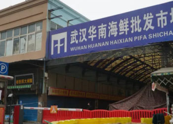 Araştırma: İlk Covid hastası, Vuhan'daki canlı hayvan pazarında çalışıyordu