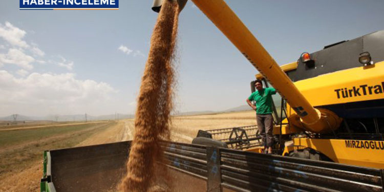 Artış yok, azalma var: Dekara gübre desteği 2 kiloya düştü