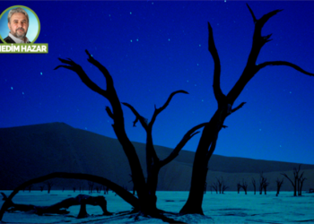 Ağaçsızlık sonumuz olacak!