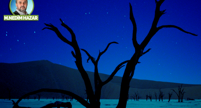 Ağaçsızlık sonumuz olacak!