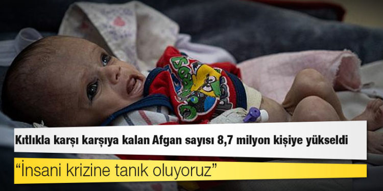 BM: Kıtlıkla karşı karşıya kalan Afgan sayısı 8,7 milyon kişiye yükseldi