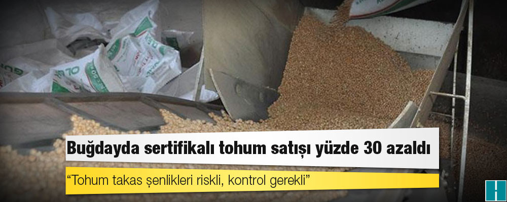 Buğdayda sertifikalı tohum satışı yüzde 30 azaldı