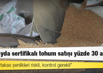 Buğdayda sertifikalı tohum satışı yüzde 30 azaldı