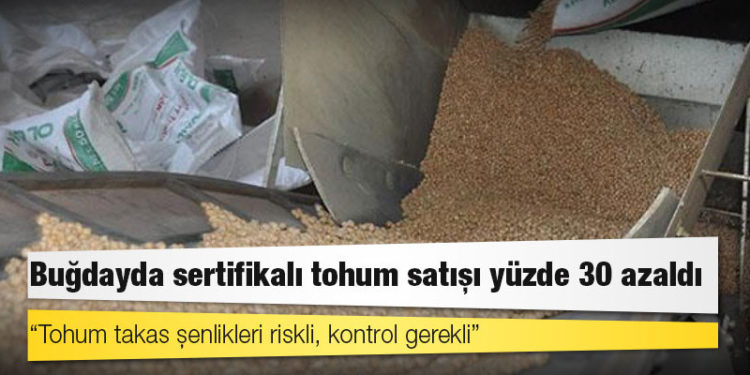 Buğdayda sertifikalı tohum satışı yüzde 30 azaldı
