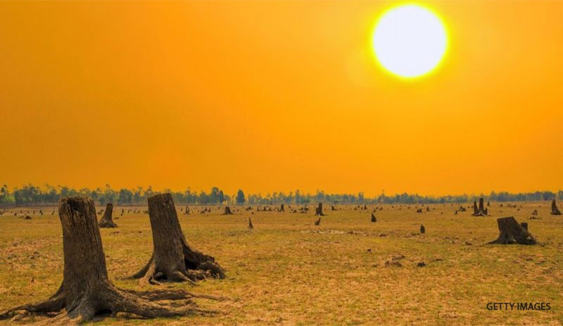 COP26: İklim zirvesine karşın, 'dünya 2,4 derecelik bir sıcaklık artışına doğru gidiyor'