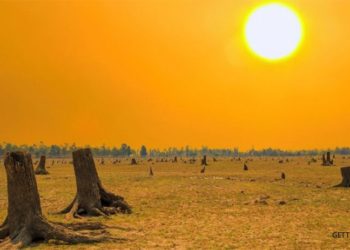 COP26: İklim zirvesine karşın, 'dünya 2,4 derecelik bir sıcaklık artışına doğru gidiyor'
