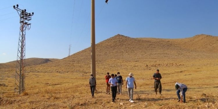 DEDAŞ borçlu çiftçileri elektrik kesintisiyle tehdit ediyor