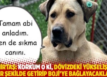 Demirtaş: Korkum o ki, dövizdeki yükselişi de bir şekilde getirip Boji’ye bağlayacaklar