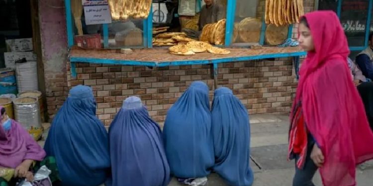 Doha'da Afganistan'a insani yardım görüşmeleri yapılıyor