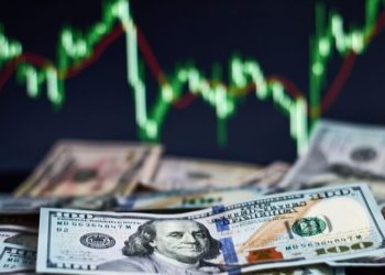 Dolar 10.96 TL'yi gördü