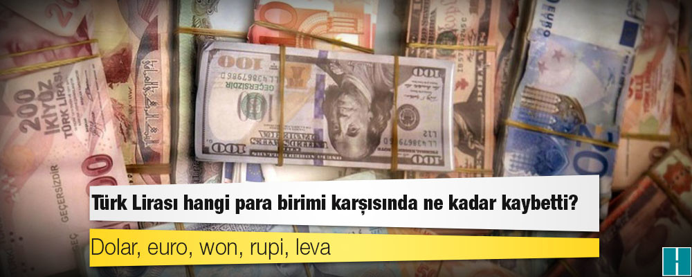 Dolar, euro, won, rupi, leva: Türk Lirası hangi para birimi karşısında ne kadar kaybetti?