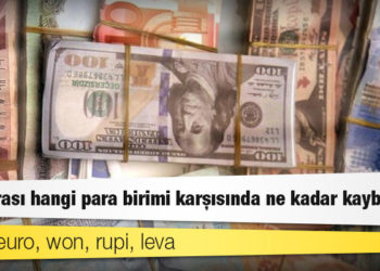 Dolar, euro, won, rupi, leva: Türk Lirası hangi para birimi karşısında ne kadar kaybetti?