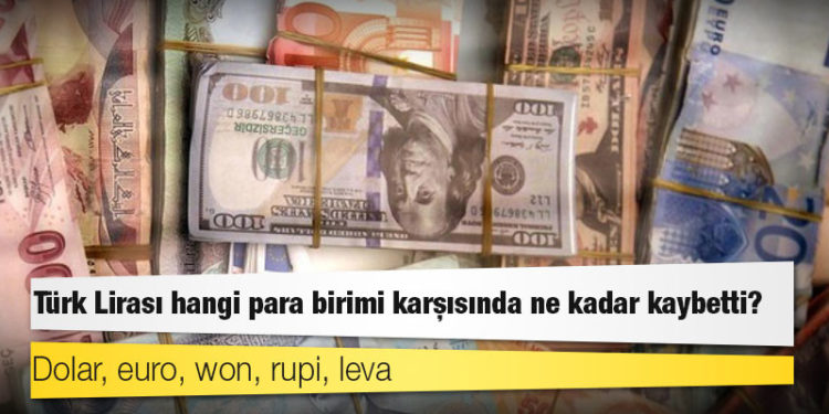 Dolar, euro, won, rupi, leva: Türk Lirası hangi para birimi karşısında ne kadar kaybetti?