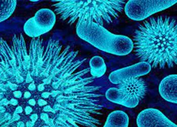 Doç. Dr. Savaşçı uyardı: Koronavirüse göre daha bulaşıcı ve öldürücü