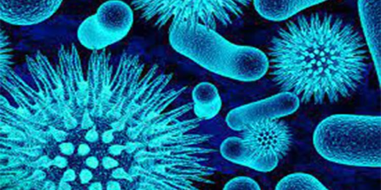 Doç. Dr. Savaşçı uyardı: Koronavirüse göre daha bulaşıcı ve öldürücü