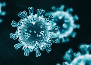 Dünya Sağlık Örgütü'nden korkutan Omicron açıklaması: Risk çok yüksek