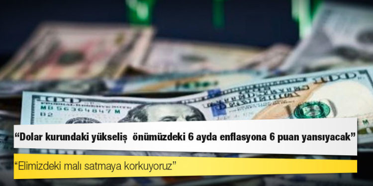 Ekonomist Yeşilada: Dolar kurundaki yükseliş önümüzdeki 6 ayda enflasyona 6 puan yansıyacak