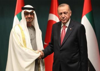 Emekli elçi Rende: BAE yatırımı, bugünkü ekonomik durumu ancak psikolojik olarak etkileyebilir