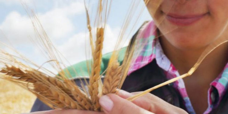 Enflasyon: BM, küresel gıda fiyatlarının son 10 yılın en yüksek seviyesine ulaştığını açıkladı