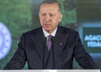 Erdoğan: Yangınlara karşı tarihimizdeki en zengin hava filosunu kurduk