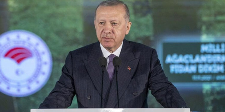 Erdoğan: Yangınlara karşı tarihimizdeki en zengin hava filosunu kurduk