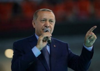Erdoğan'dan Devlet Denetleme Kurulu'na döviz talimatı