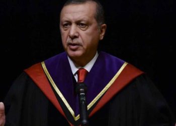 Erdoğan'ın diplomasıyla ilgili karar açıklandı