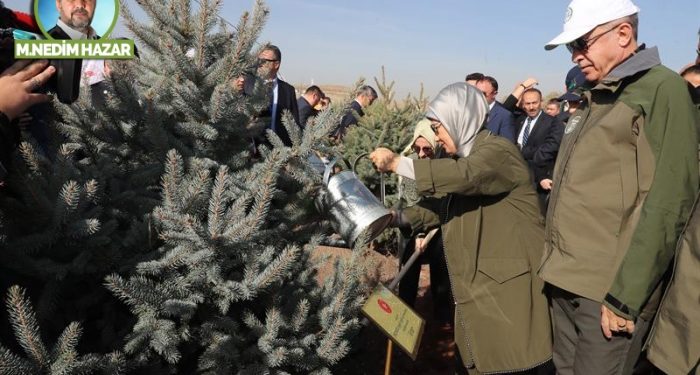 Erdoğan’ın ağaç sevgisi!