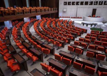 Ergun Özbudun: Geçiş süreci iki aşamalı olmamalı