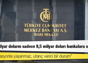 Eski MB başkanı: 128 milyar doların sadece 8,5 milyar doları bankalara satıldı