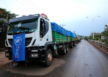 Etiyopya: BM çalışanları casusluk suçlamasıyla gözaltına alındı