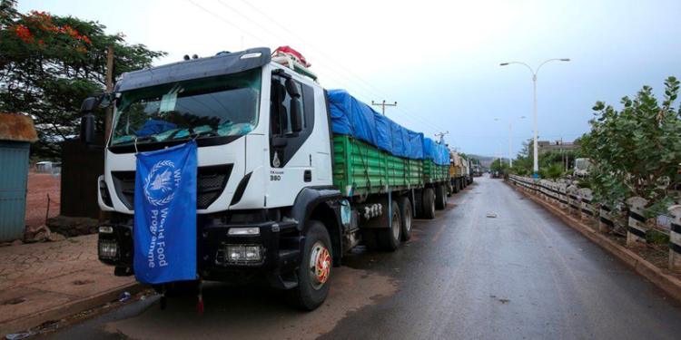 Etiyopya: BM çalışanları casusluk suçlamasıyla gözaltına alındı