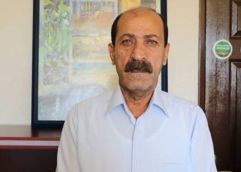 Farisogulları: Kürt siyasetçilerin tutuklanması bu ülkeye ne kazandırdı?