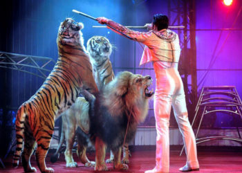 Fransa’da tarihi karar; sirklerde vahşi hayvan kullanımı yasaklandı