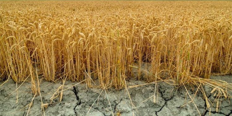 Gündem ceza değil üretim seferberliği olmalı