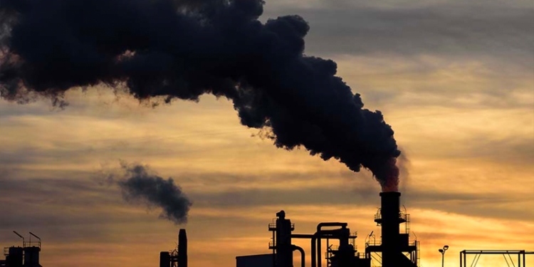 Güney Afrika, kömürle çalışan elektrik santrallerini satmaya hazırlanıyor