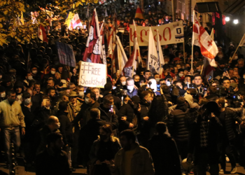 Gürcistan'da binlerce kişi, Saakaşvili için destek gösterisi düzenledi