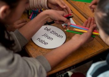 HDP: Milyonlarca çocuk anadilinde eğitim göremiyor