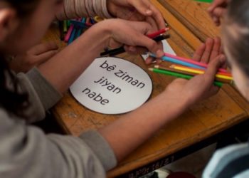 HDP: Milyonlarca çocuk anadillerinde eğitim göremiyor