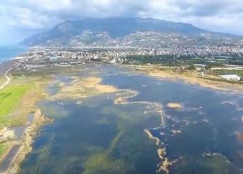 HDP'li Hatimoğulları: Kuş cenneti neden sulak alan ilan edilmedi, otel yapılacağı iddialar var